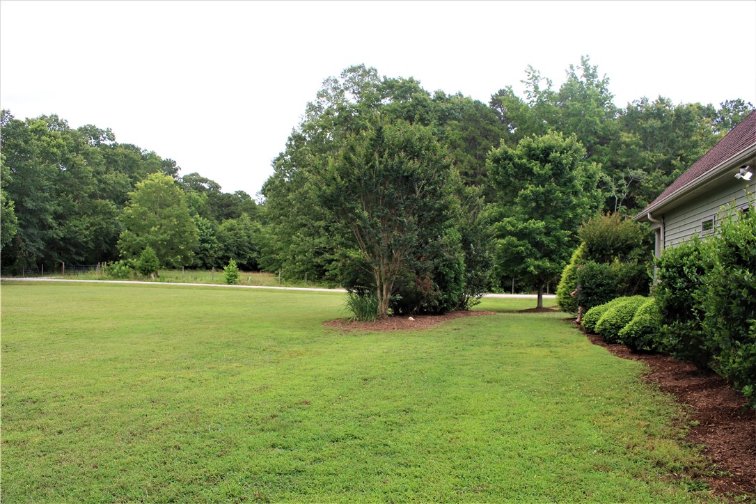 343 Chapman Road Pelzer, SC 29669 - Photo 30 of 47