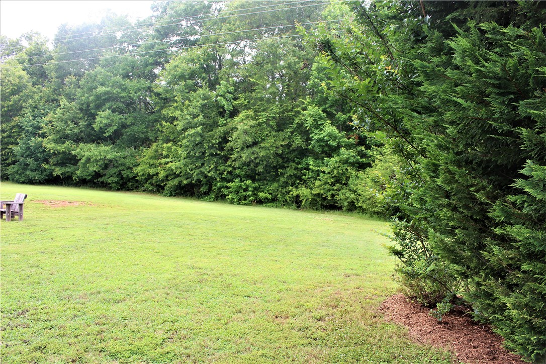 343 Chapman Road Pelzer, SC 29669 - Photo 33 of 47