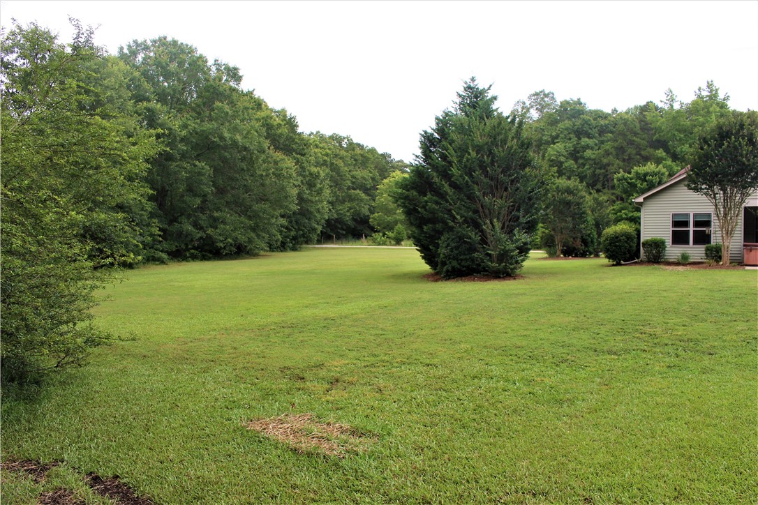 343 Chapman Road Pelzer, SC 29669 - Photo 35 of 47