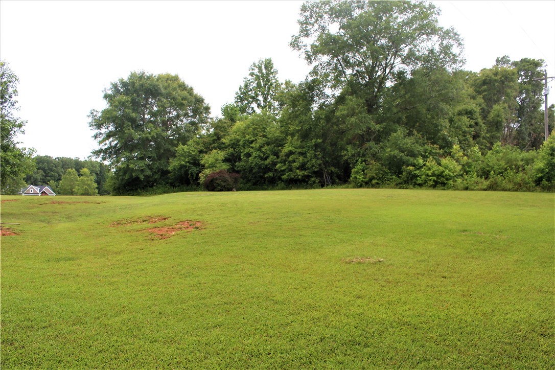 343 Chapman Road Pelzer, SC 29669 - Photo 37 of 47