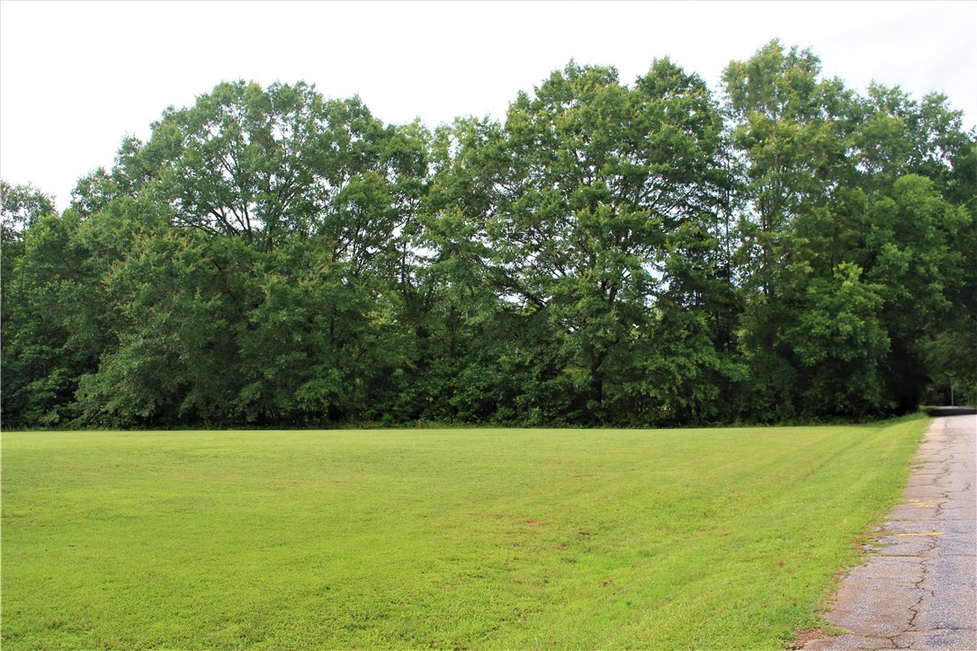 343 Chapman Road Pelzer, SC 29669 - Photo 41 of 47