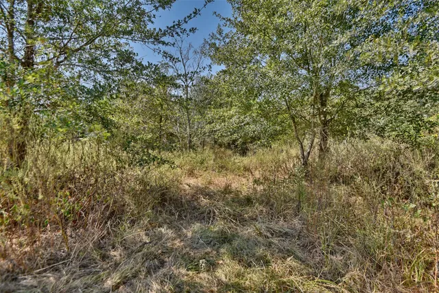 $799,999 | 28850 Riley Road, Waller, TX 77484