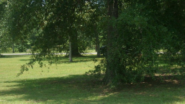 13 Fop Lodge Road Andalusia, AL 36421 - Photo 3 of 3 Gallery Image 3
