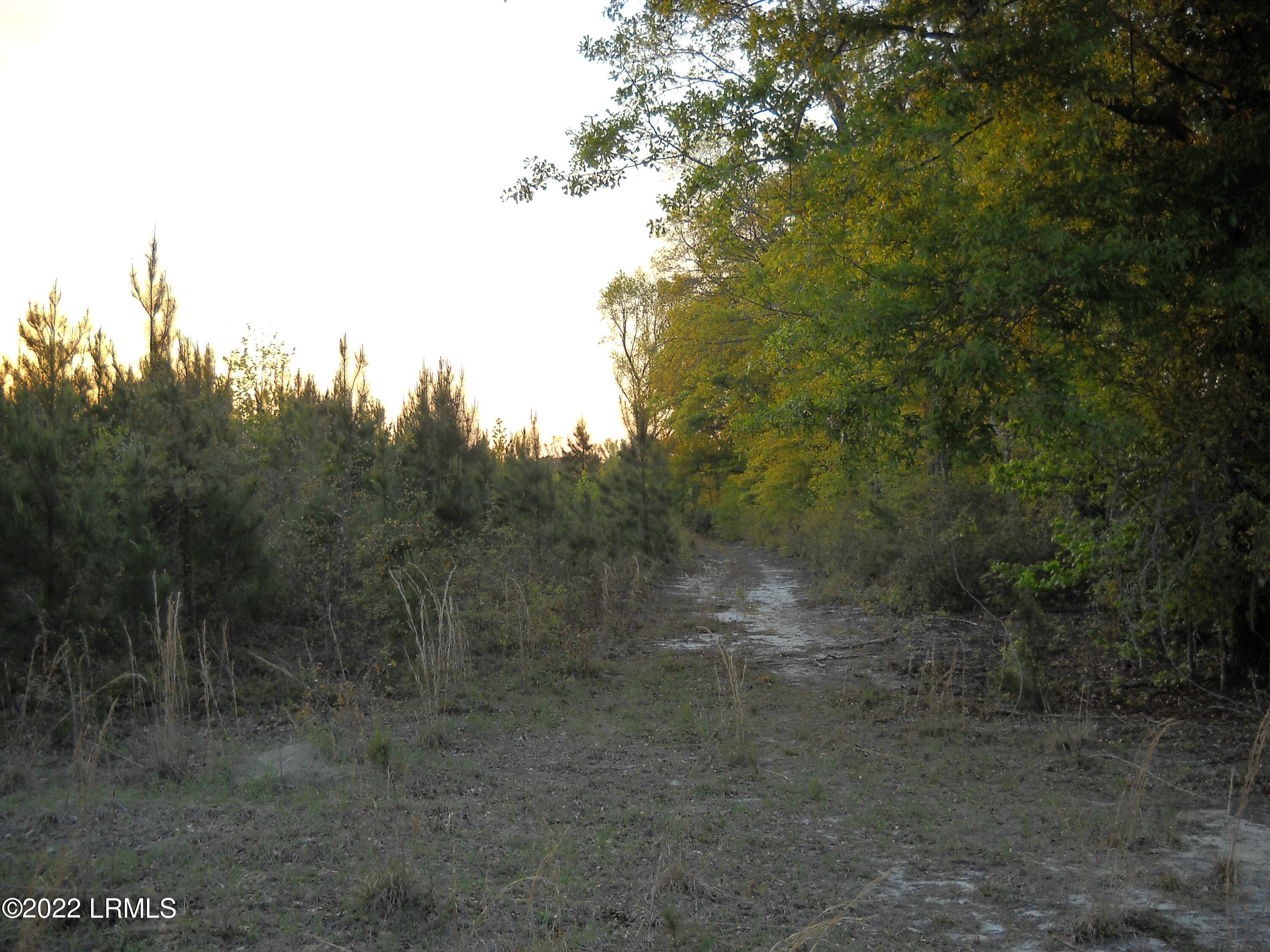 DSCN0347