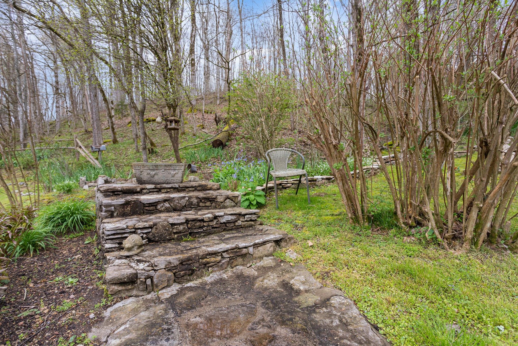 336 Defeated Creek Road Centerville, TN 37033 - Photo 4 of 34 Gallery Image 4