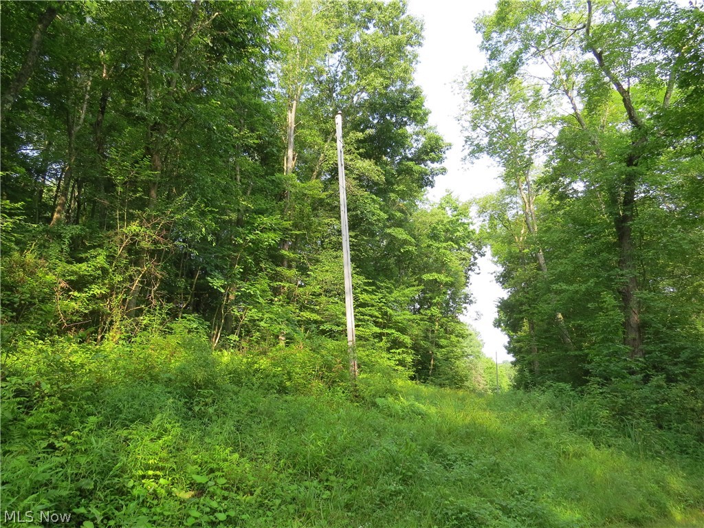 7186 Dial Road Southwest Carrollton, OH 44615 - Photo 10 of 34 Gallery Image 10