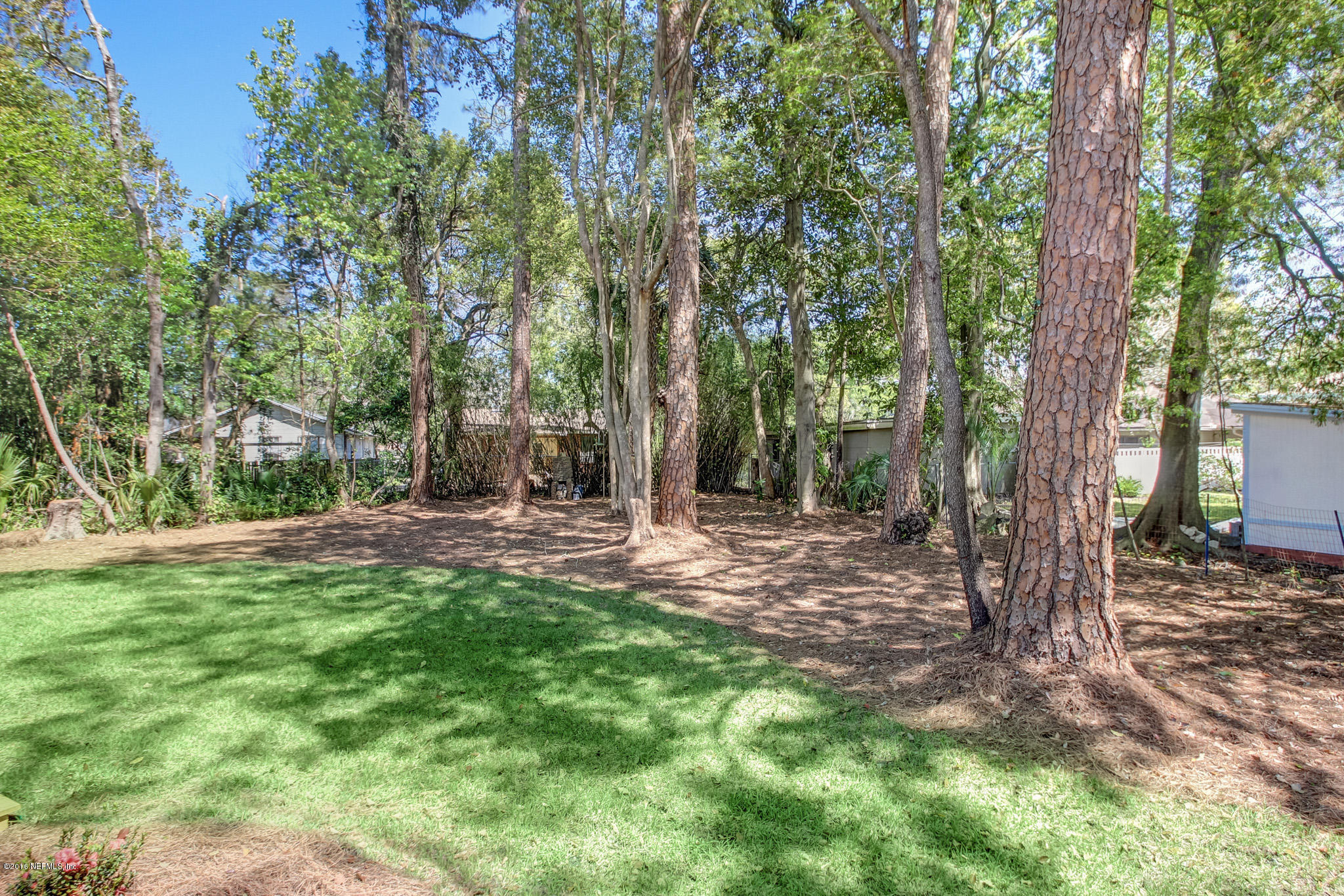 1273 Lechlade Circle Jacksonville, FL 32205 - Photo 21 of 23 a view of a tree in the middle of a forest
