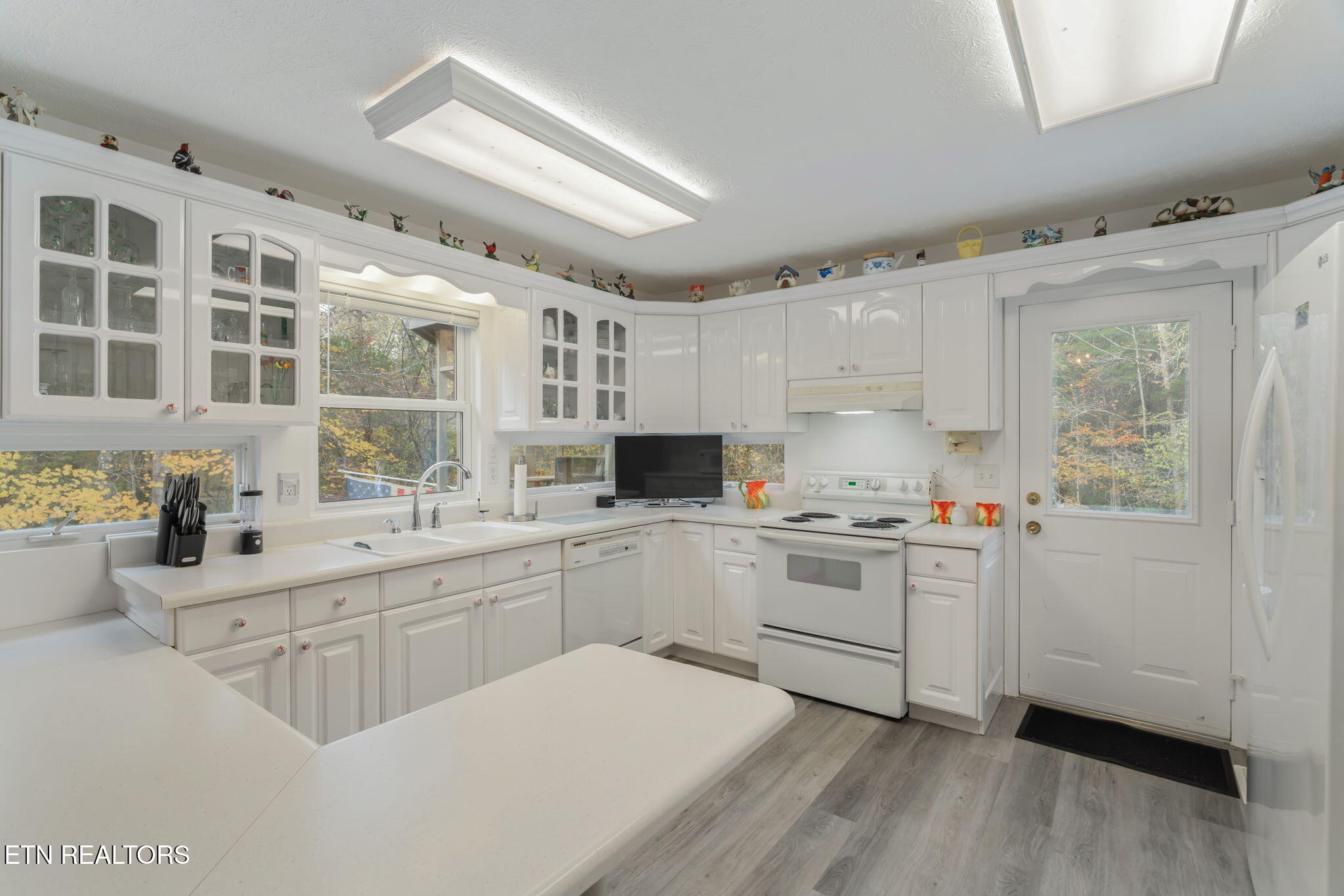 668 Raccoon Valley Road Maynardville, TN 37807 - Photo 5 of 50 11-web-or-mls-668 Raccoon Valley Road-88