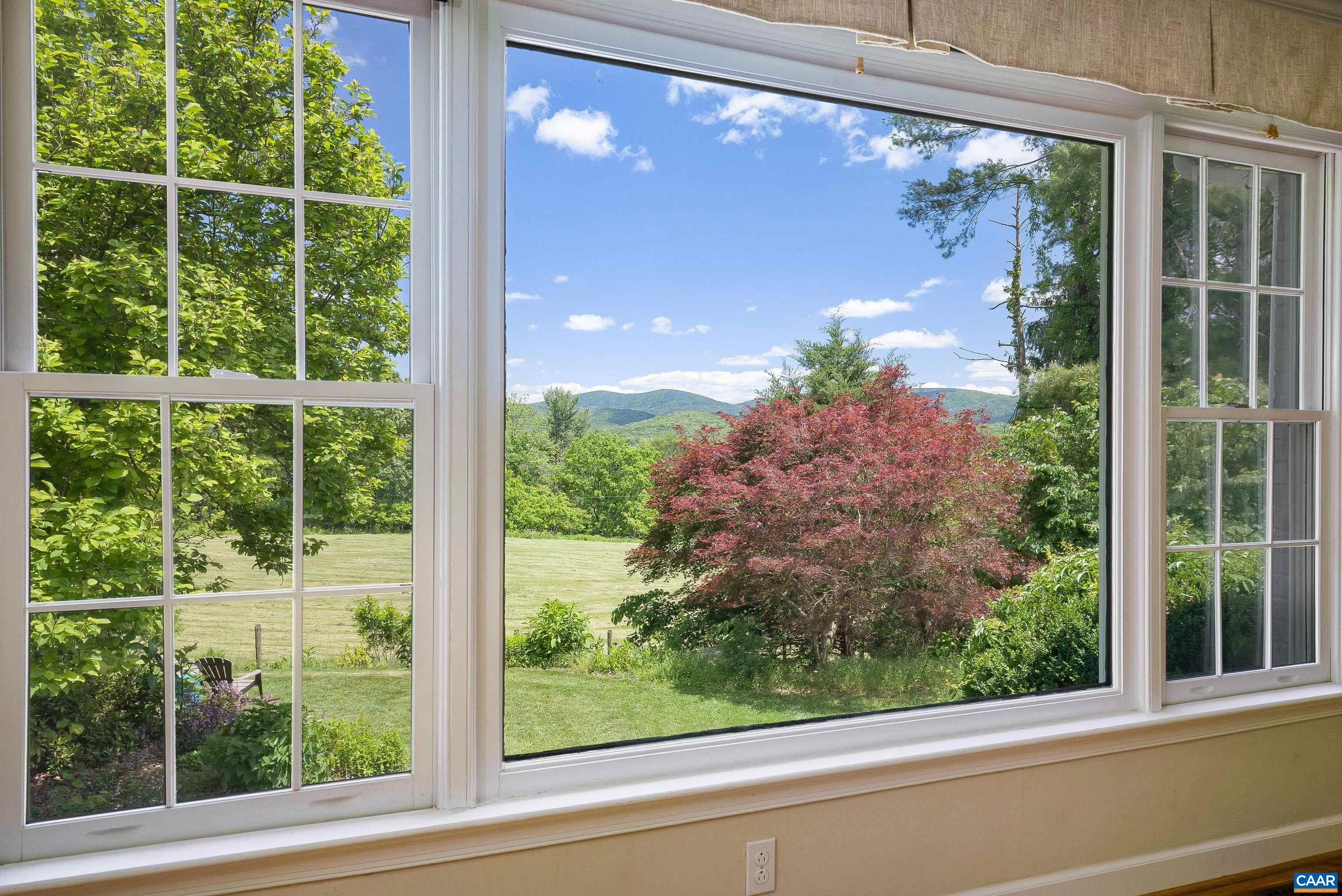 1571 Duke Road Waynesboro, VA 22980 - Photo 13 of 75 a view of a window and a tree in front of a window