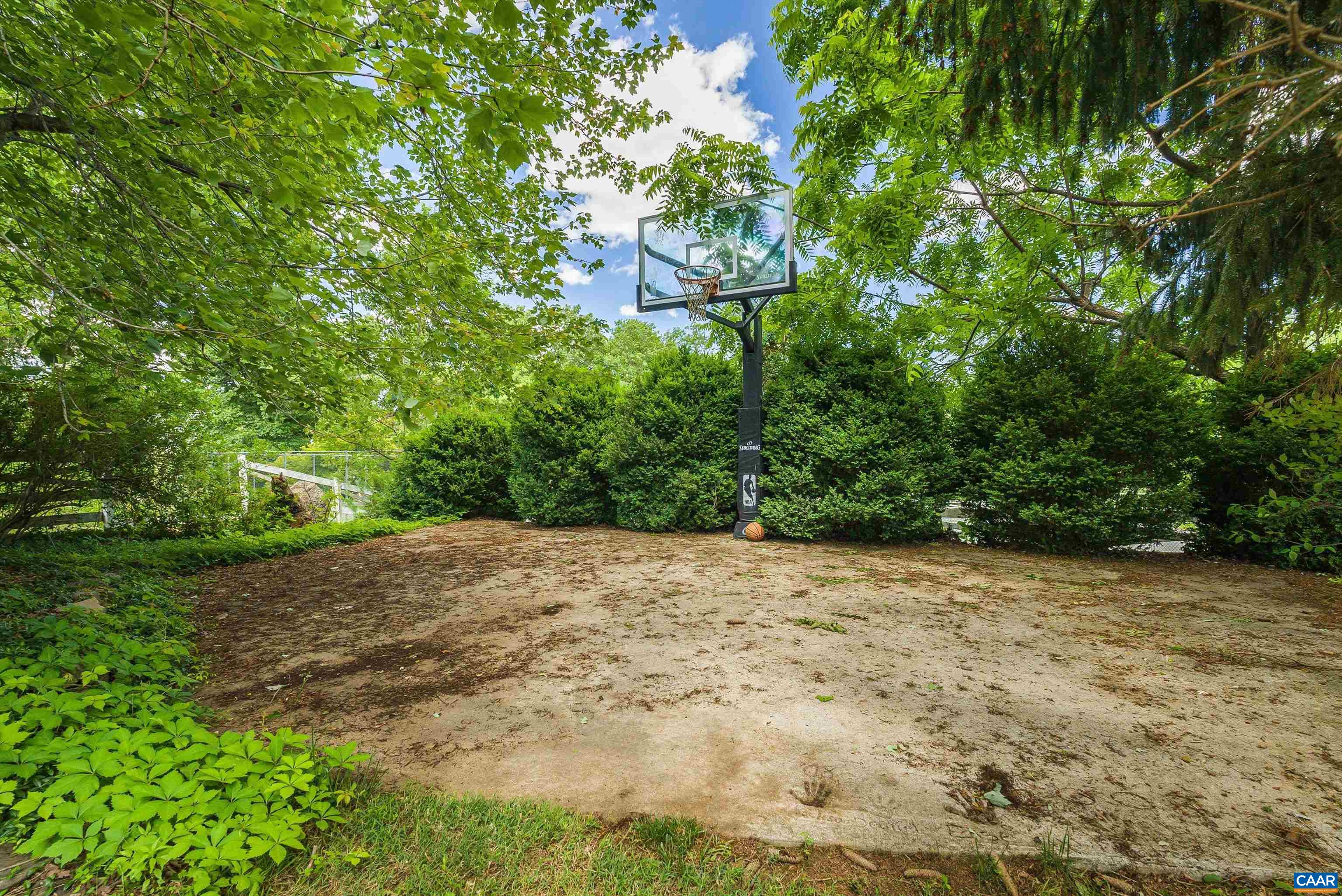 1571 Duke Road Waynesboro, VA 22980 - Photo 66 of 75 a view of a yard with plants and trees