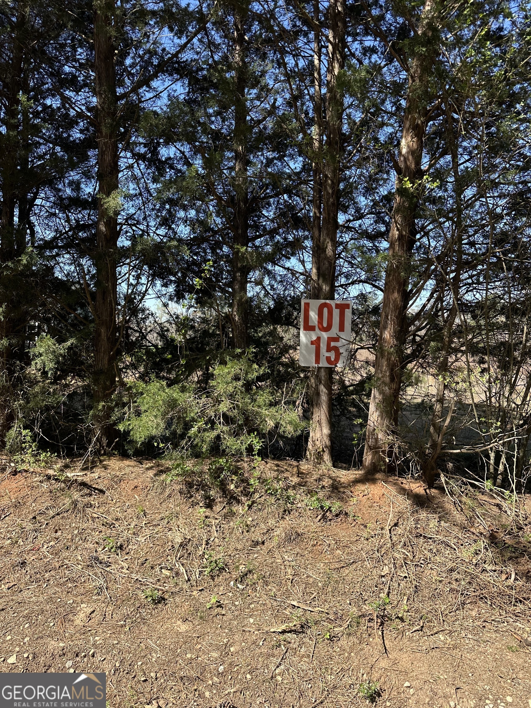 131 Oak Road, Unit LOT 15 Locust Grove, GA 30248 - Photo 1 of 2