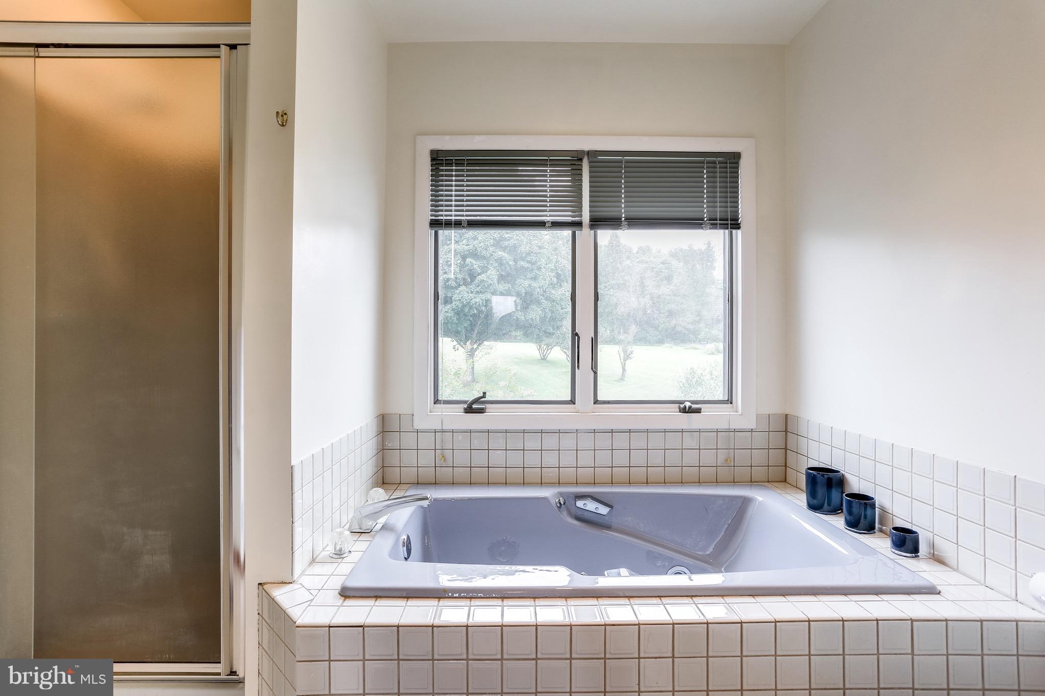 333 Everett Road Monkton, MD 21111 - Photo 17 of 27 Bath (Master)