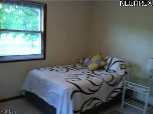8801 Stone Road Litchfield, OH 44253 - Photo 16 of 25 Gallery Image 16