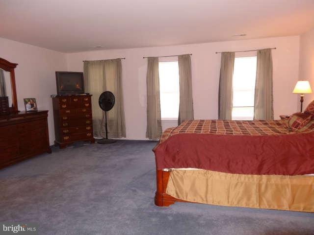 717 Blossom Tree Road Culpeper, VA 22701 - Photo 13 of 30 Master bedroom