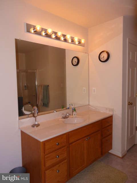 717 Blossom Tree Road Culpeper, VA 22701 - Photo 14 of 30 Master bath vanity