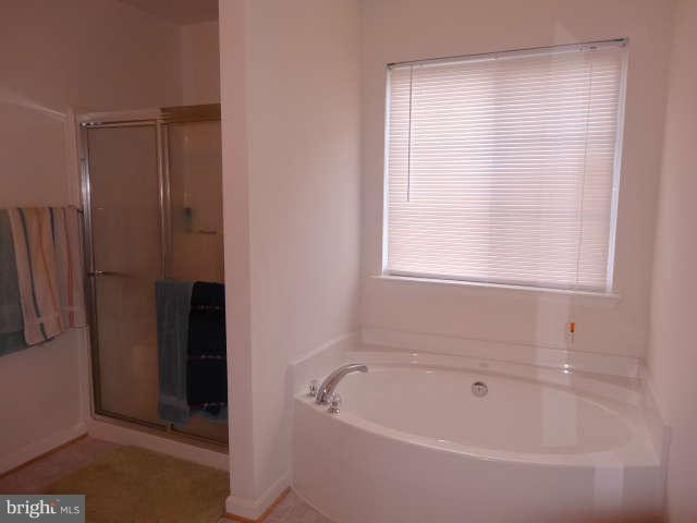 717 Blossom Tree Road Culpeper, VA 22701 - Photo 15 of 30 Master bath tub and shower