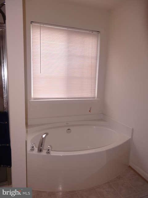 717 Blossom Tree Road Culpeper, VA 22701 - Photo 16 of 30 Master bath soaking tub