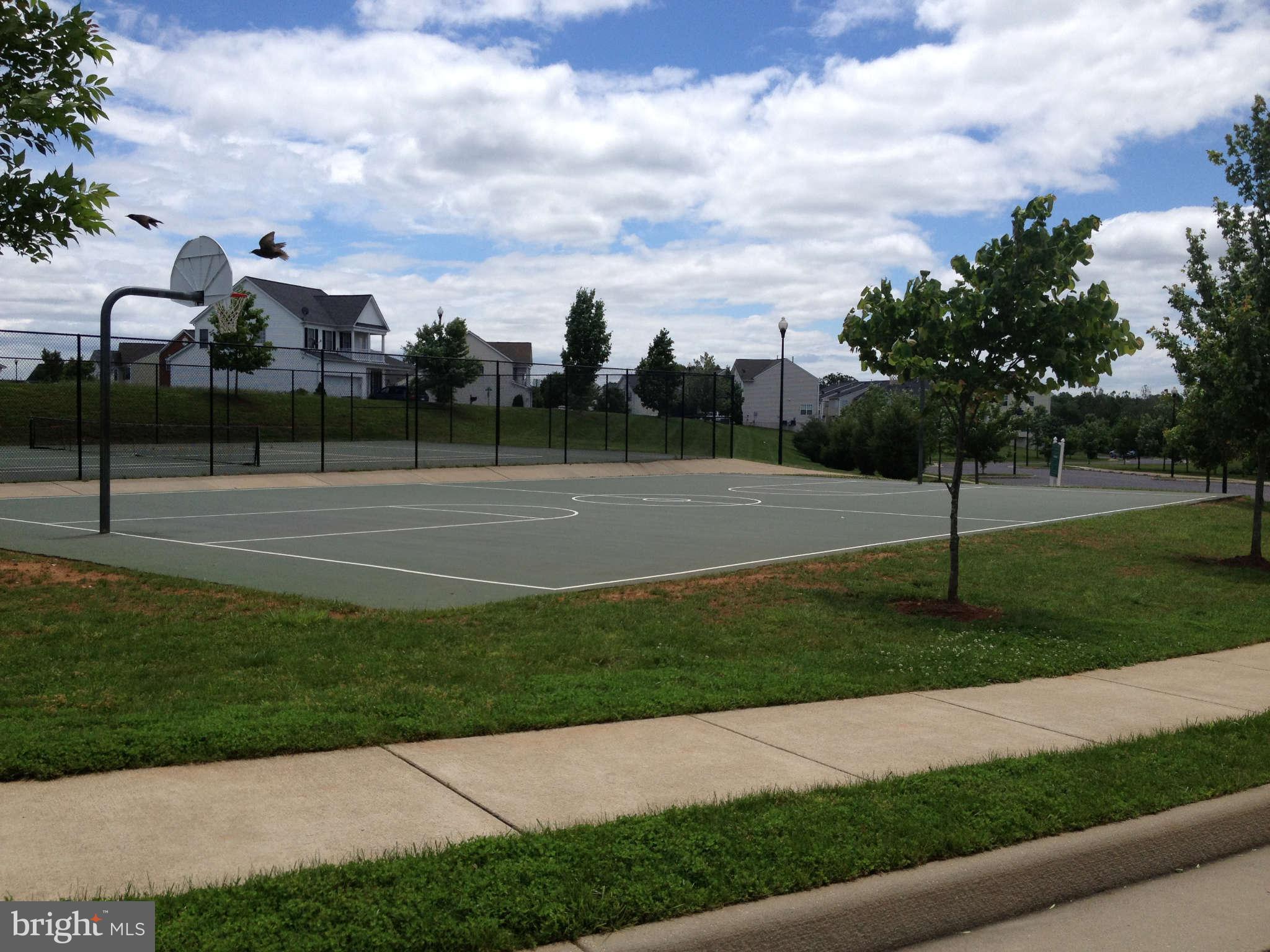 717 Blossom Tree Road Culpeper, VA 22701 - Photo 29 of 30 Community Basketball Courts