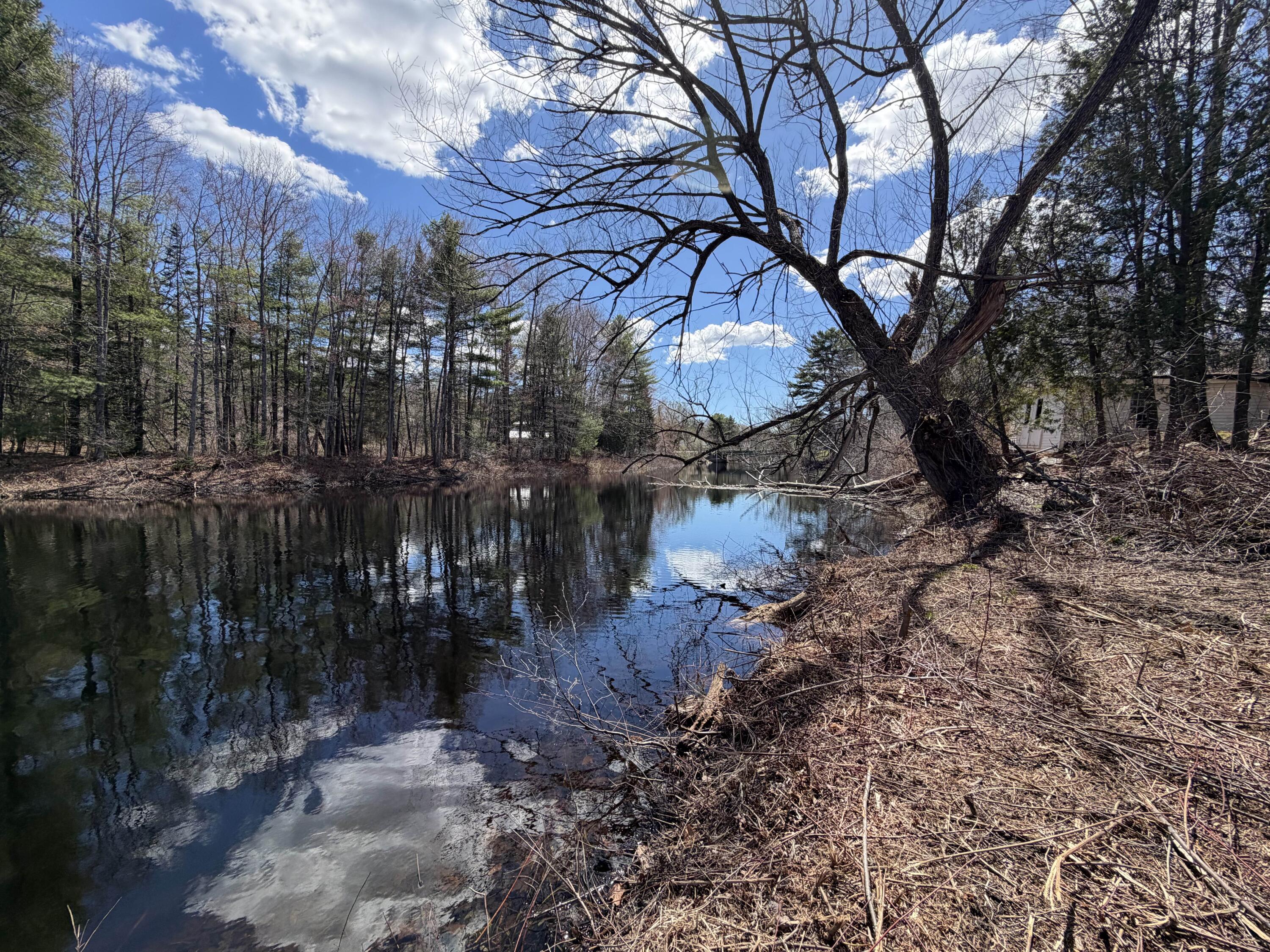 586 Plains Road Harrison, ME 04040 - Photo 32 of 35 riverfrontage3