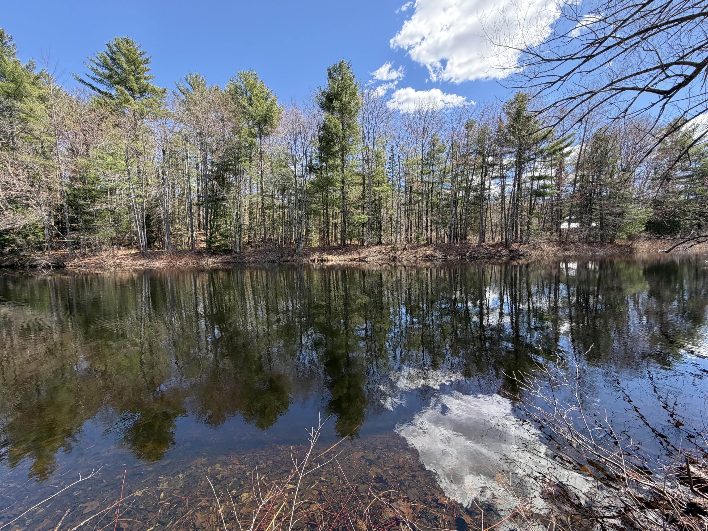 586 Plains Road Harrison, ME 04040 - Photo 33 of 35 riverfrontage4