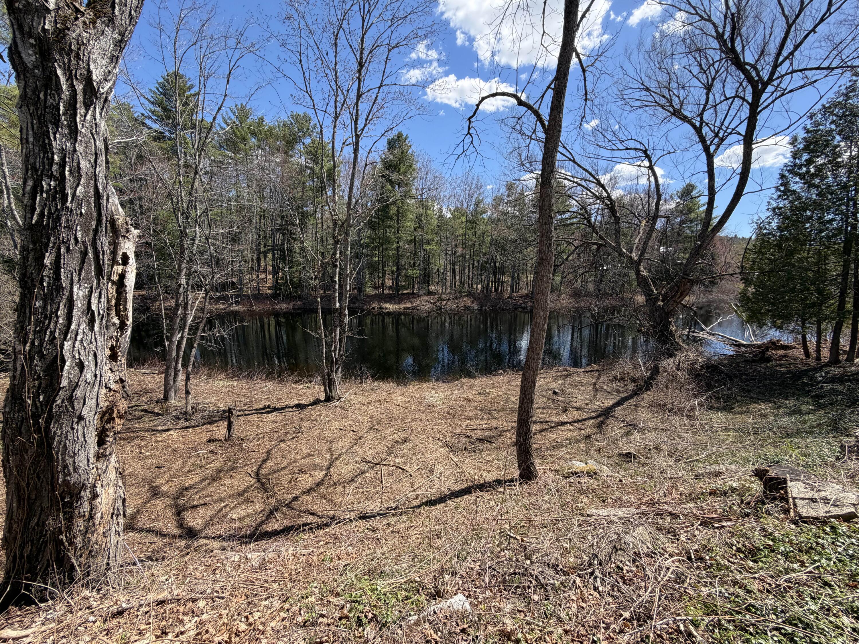 586 Plains Road Harrison, ME 04040 - Photo 34 of 35 riverfrontage5