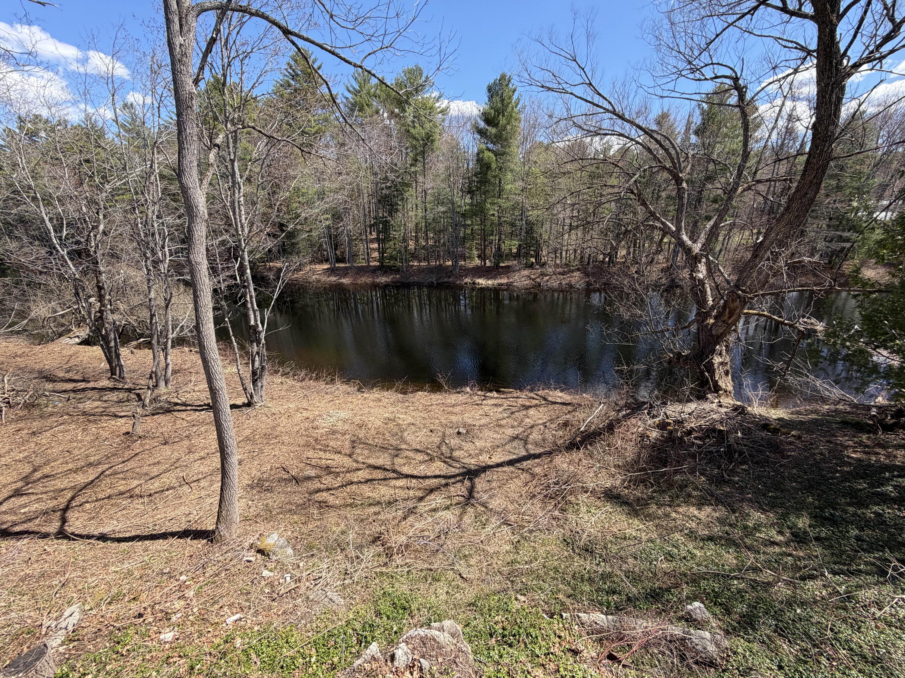 586 Plains Road Harrison, ME 04040 - Photo 4 of 35 riverfrontage