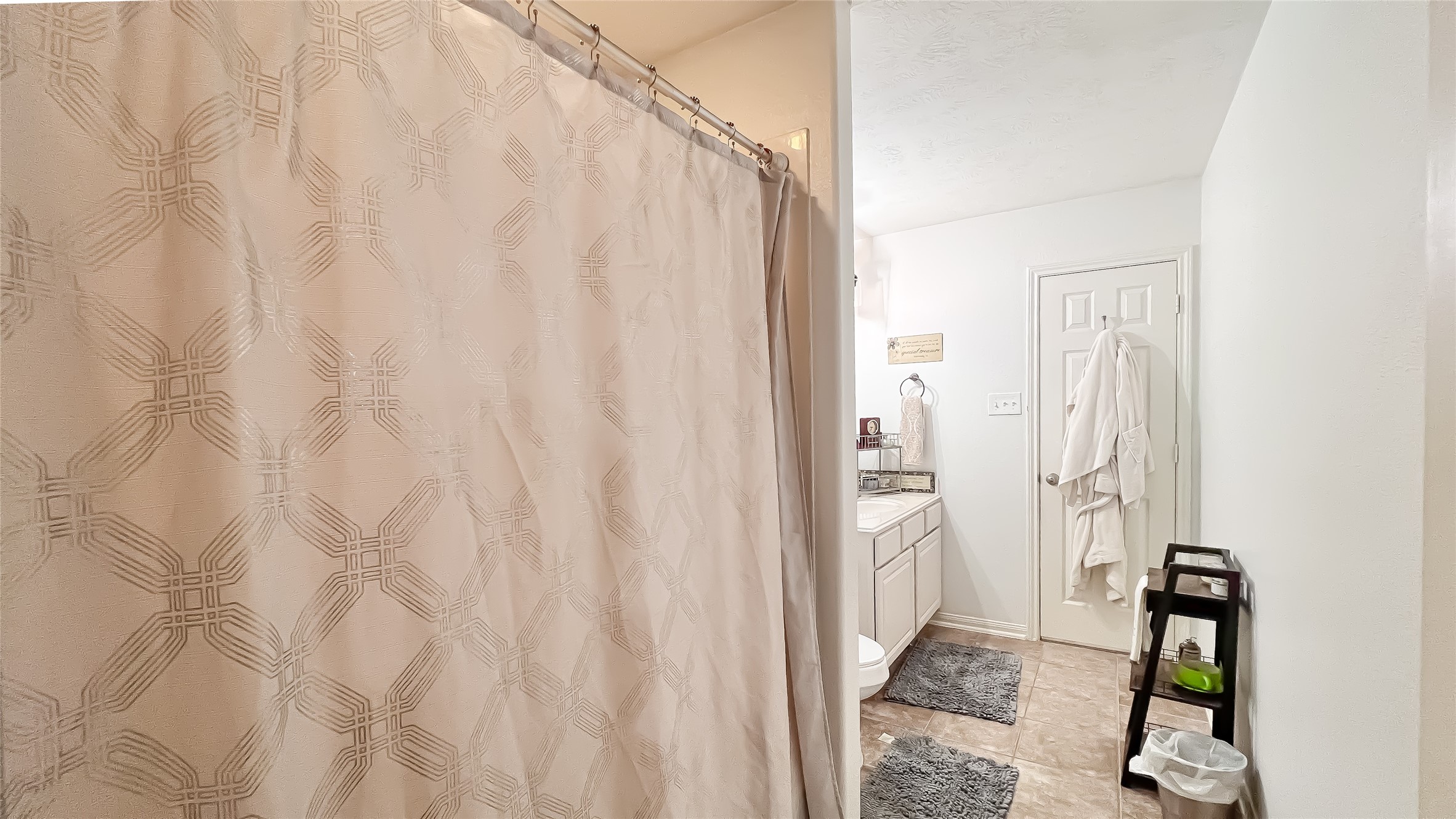 9923 Opal Rock Drive Rosharon, TX 77583 - Photo 11 of 20 a bathroom with a shower curtain and a sink