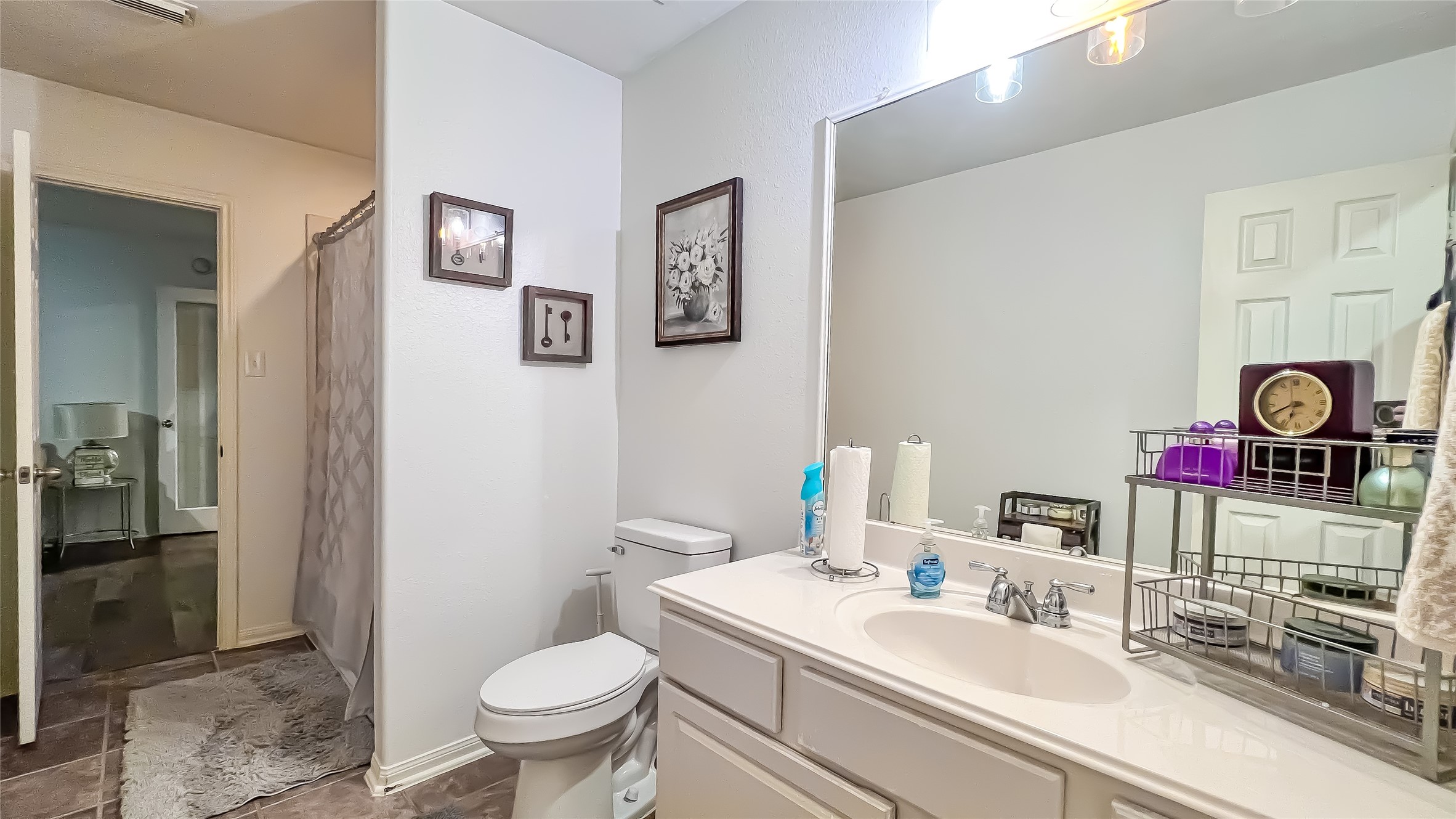 9923 Opal Rock Drive Rosharon, TX 77583 - Photo 12 of 20 a bathroom with a toilet a sink and a mirror