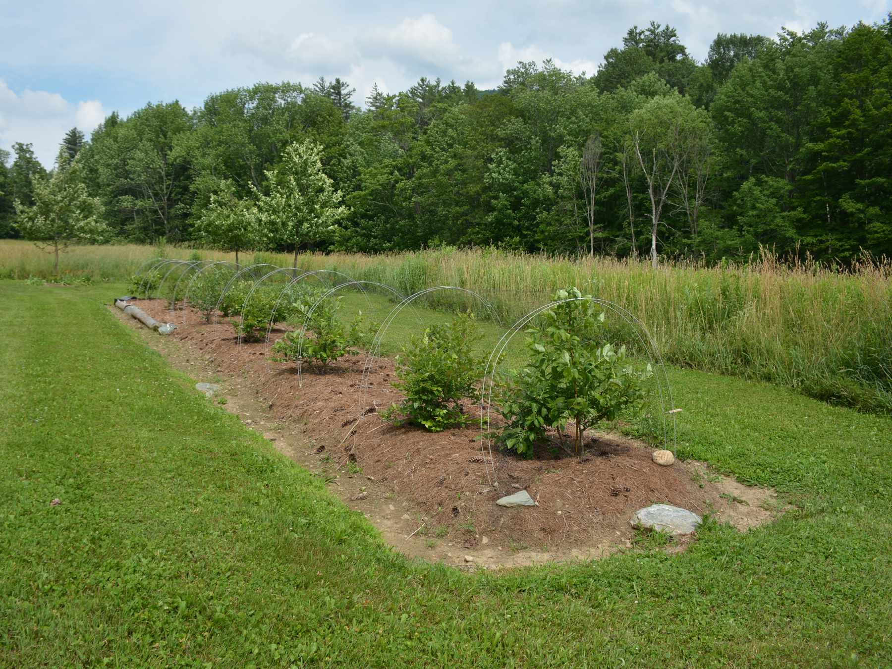 221 Ryle Road, Unit 8 Waitsfield, VT 05673 - Photo 28 of 40