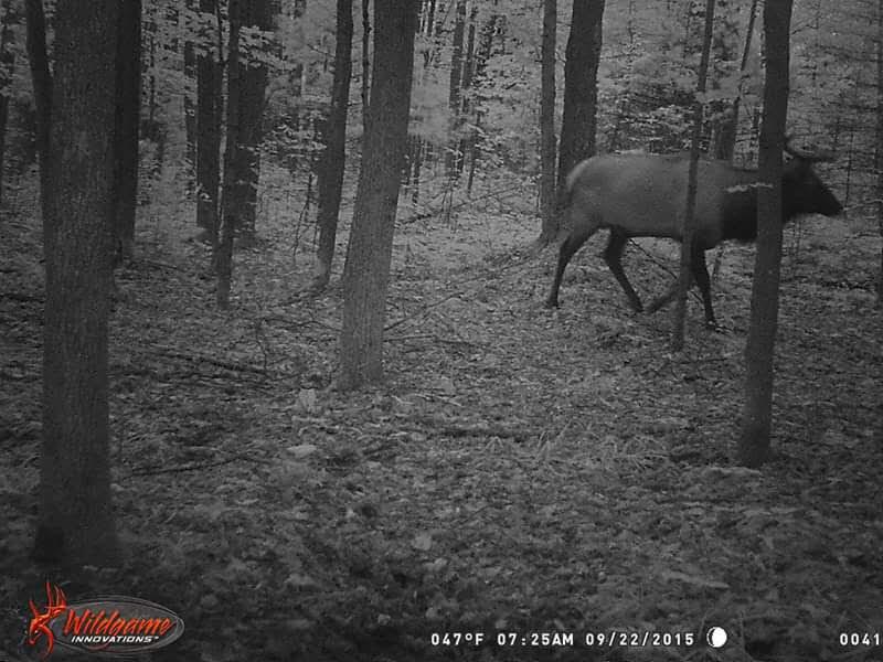 13460 Brown Road Atlanta, MI 49709 - Photo 15 of 21 Gallery Image 15