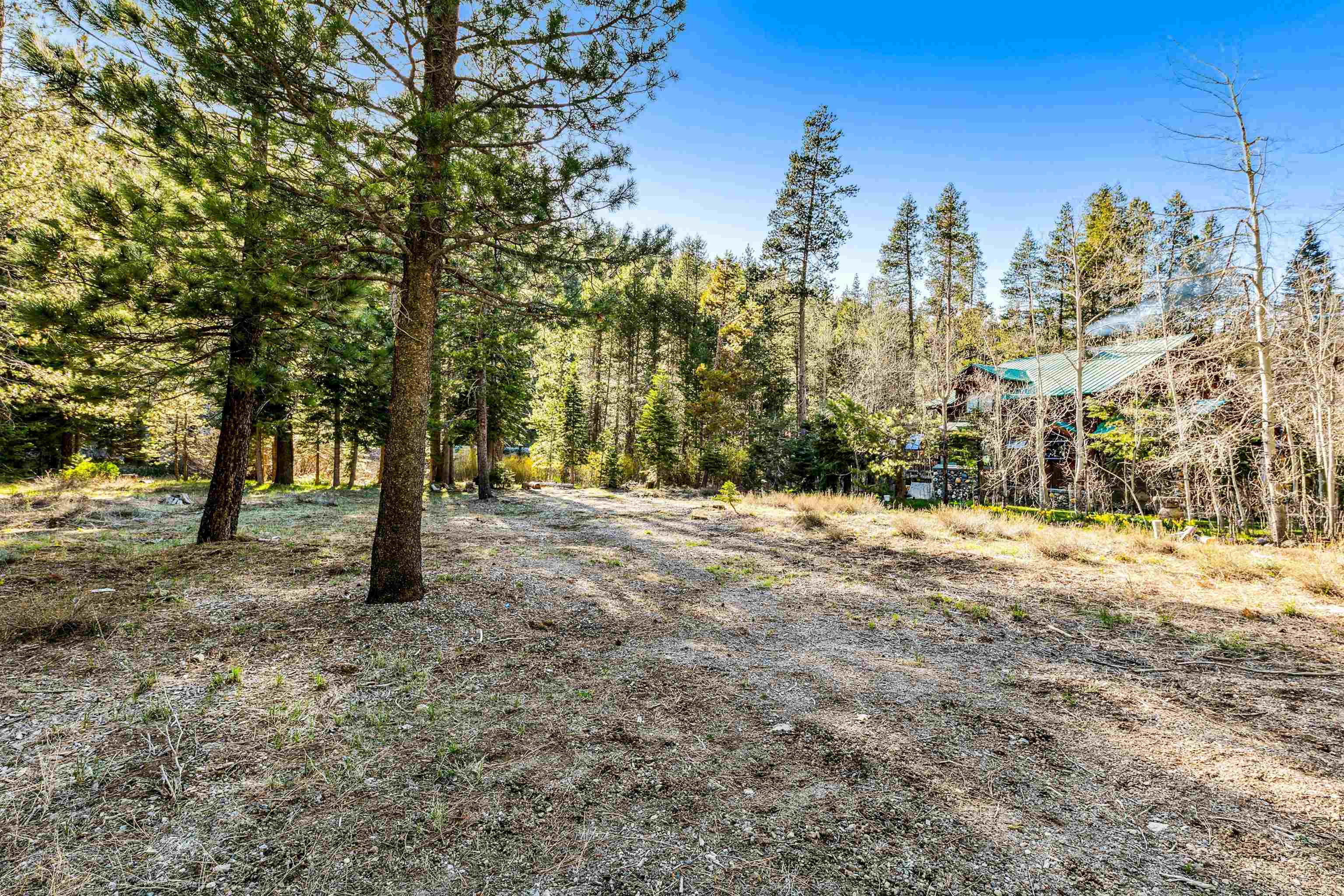 7898 River Road Truckee, CA 96161 - Photo 14 of 20 a view of dirt yard with a tree