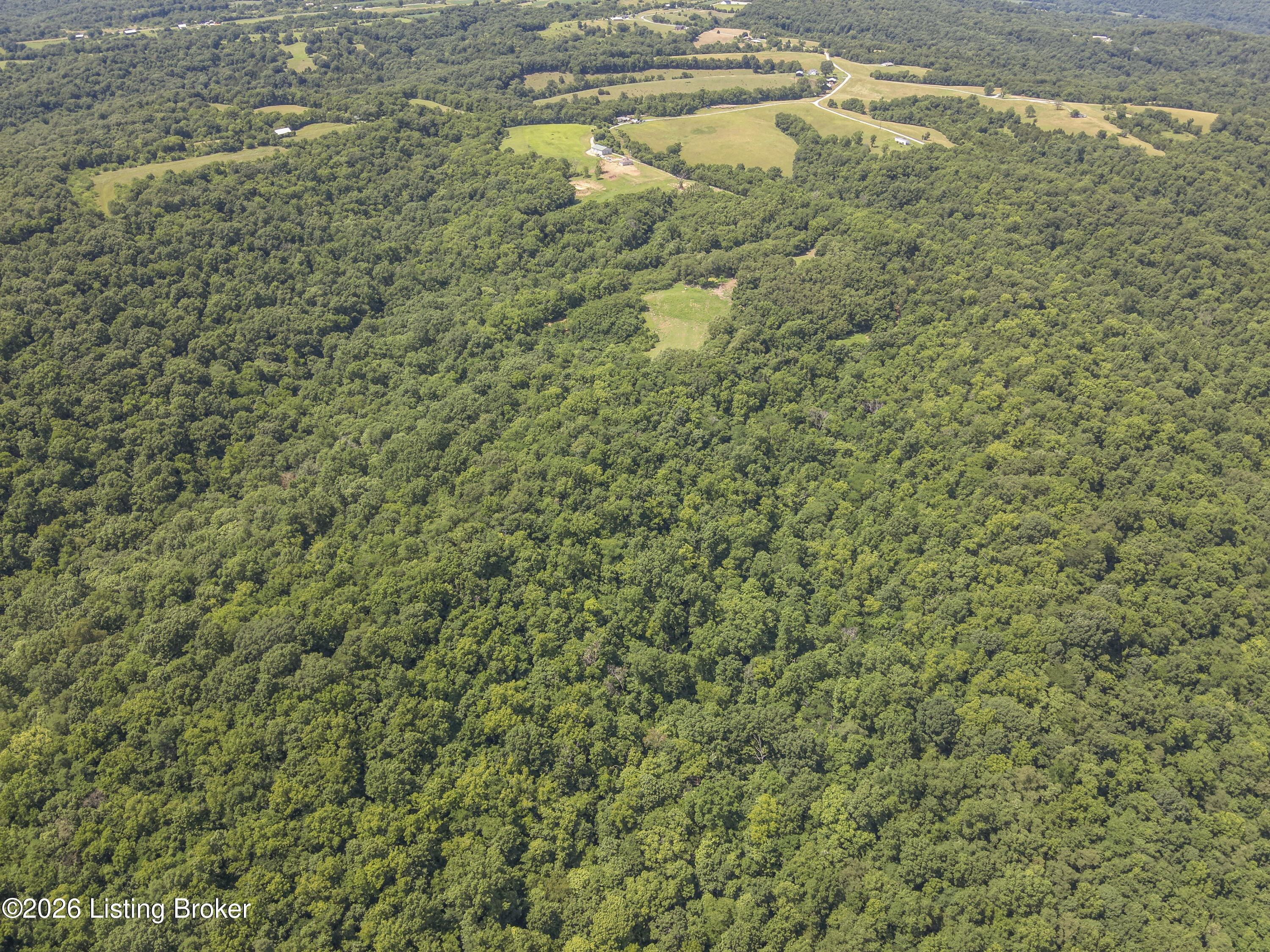 167 Price Road Bethlehem, KY 40007 - Photo 43 of 84 14-DJI_20260624151631_0004_W