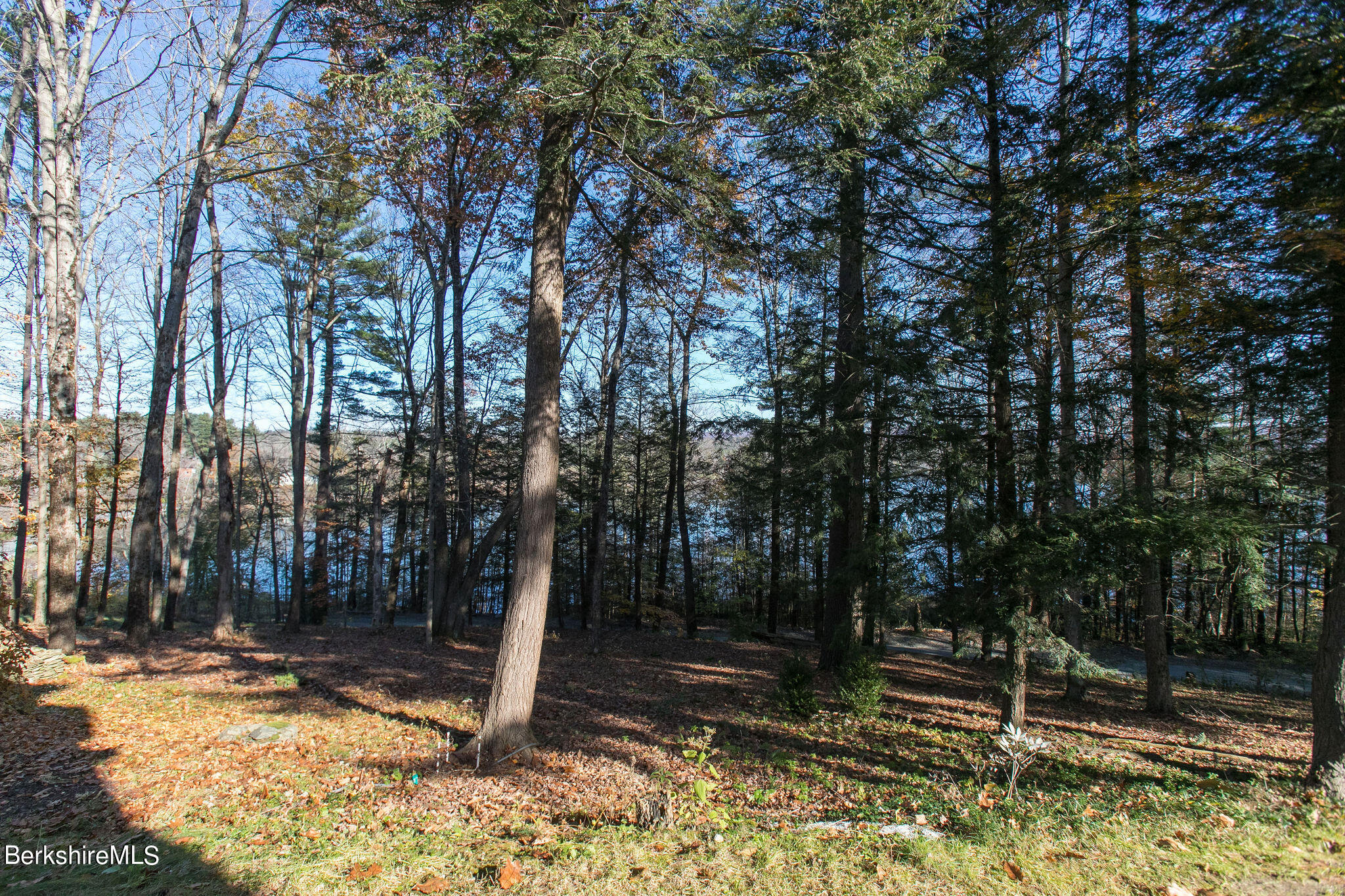 770 Summer Street, Unit 13B Lee, MA 01240 - Photo 34 of 39 a view of a tree in the backyard