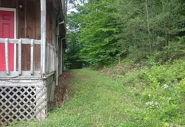 930 Cub Run Road Wellington, KY 40387 - Photo 3 of 22 Photo 3