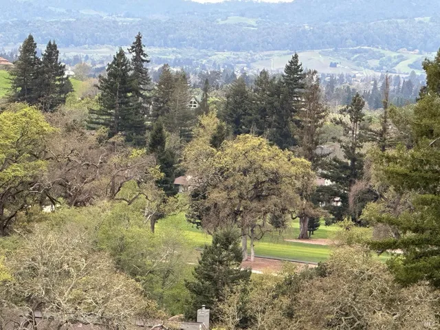 a view of a yard with trees