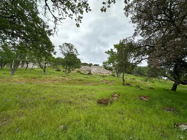 a big yard with lots of green space and trees