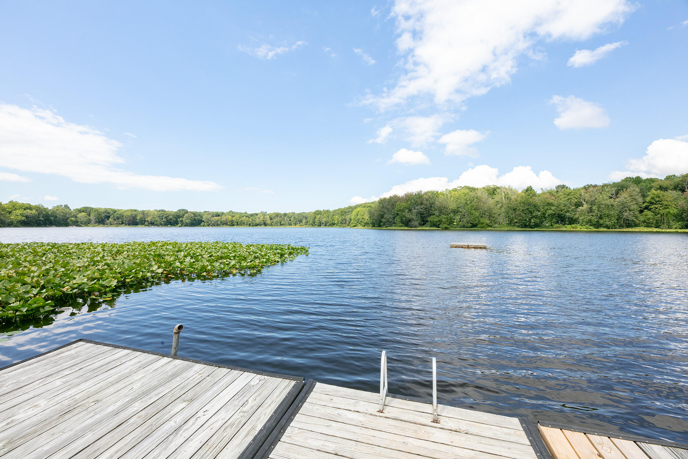 39 Camp Madron Road Buchanan, MI 49107 - Photo 48 of 51 0D6A5721