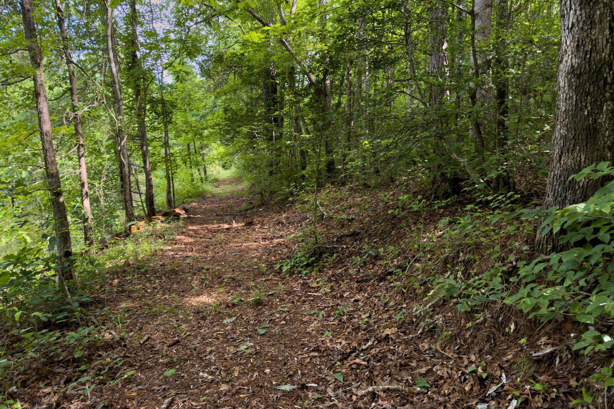 Tbd Melvin Hill Road Campobello, SC 29322 - Photo 18 of 29