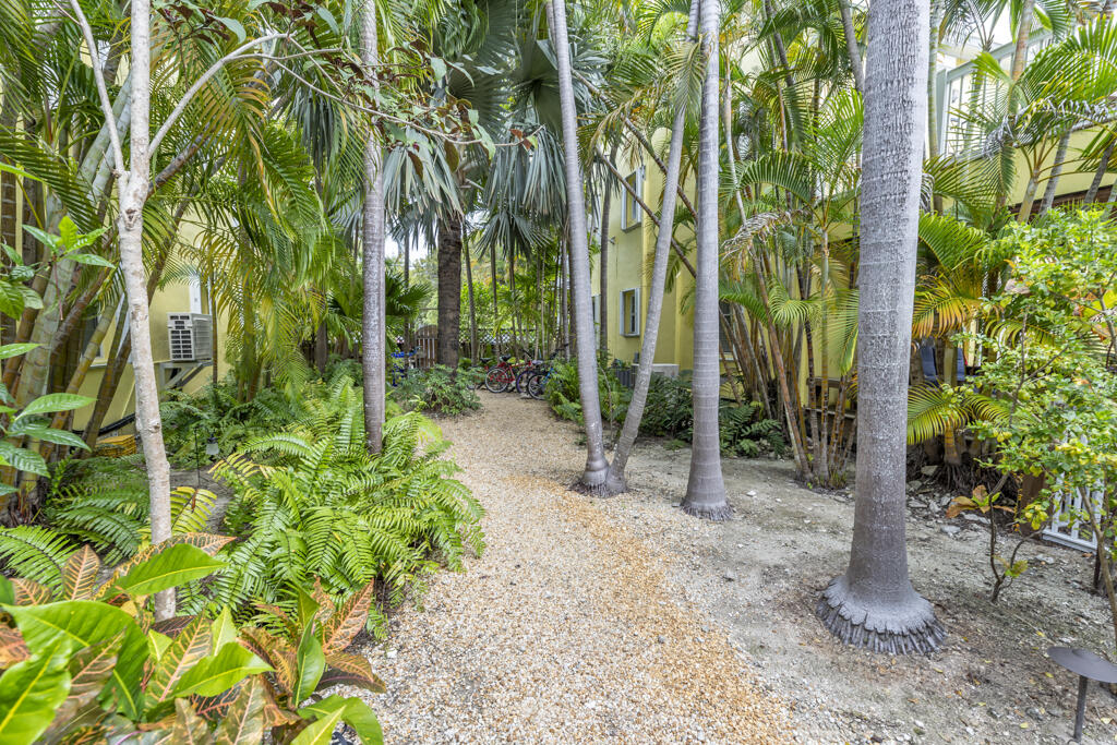 804 South Street, Unit 3 Key West, FL 33040 - Photo 14 of 22 a view of a garden with trees