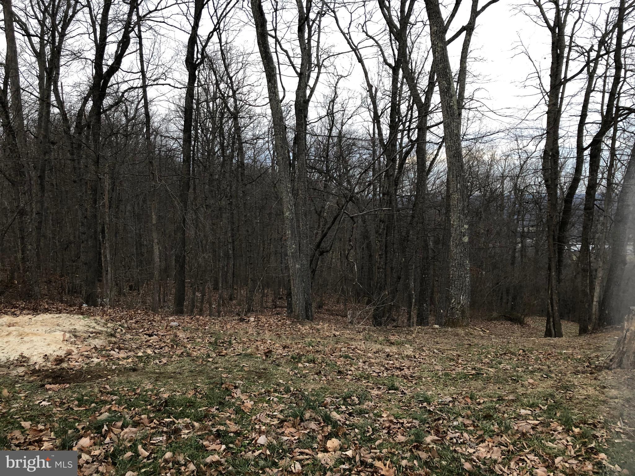 Lot 16 Lot Road Strasburg, VA 22657 - Photo 2 of 3