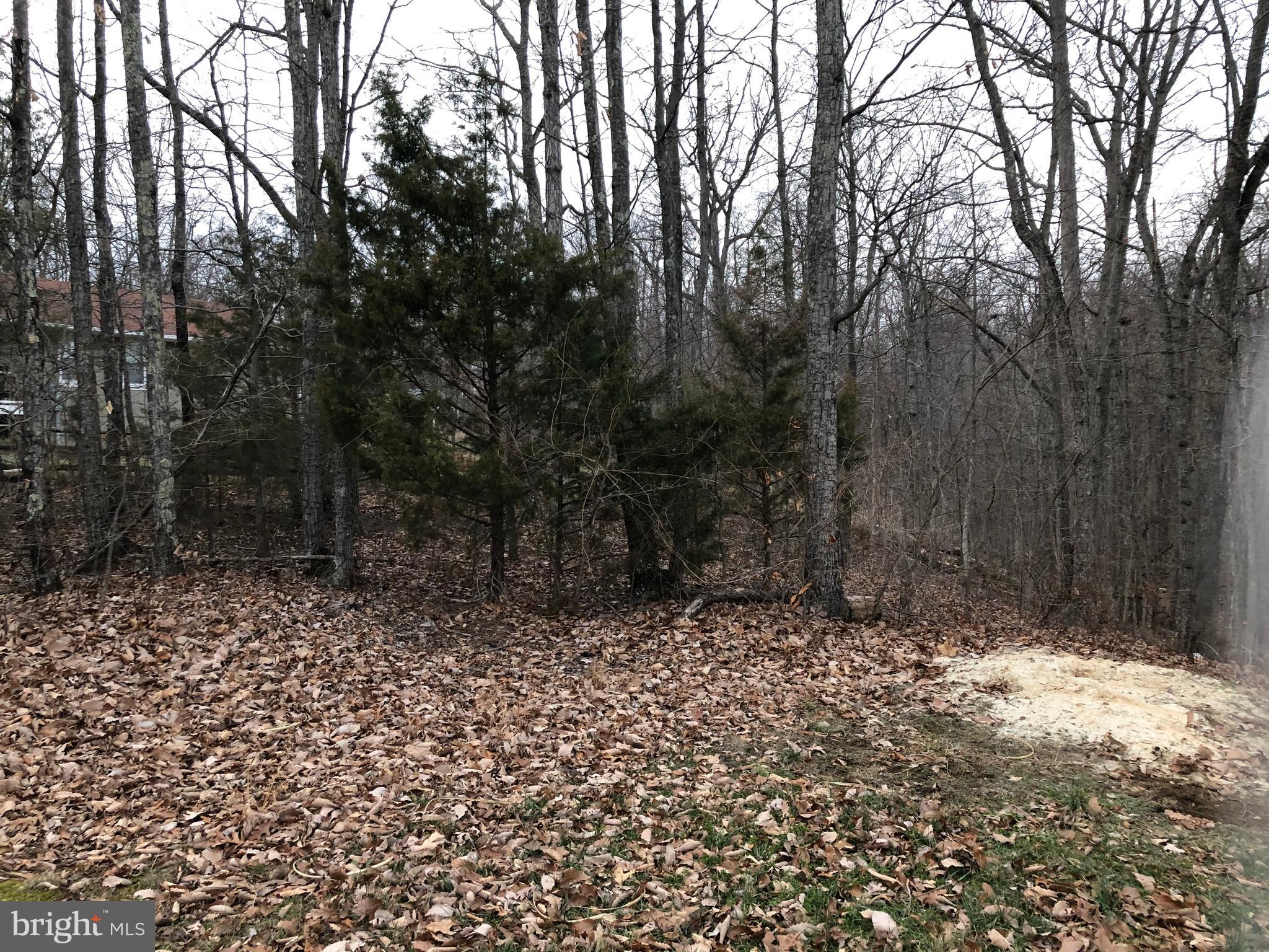 Lot 16 Lot Road Strasburg, VA 22657 - Photo 3 of 3