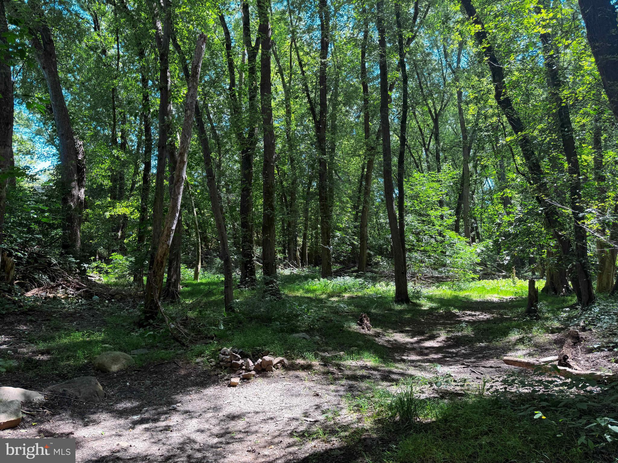 0 Inn Road Duncannon, PA 17020 - Photo 7 of 21