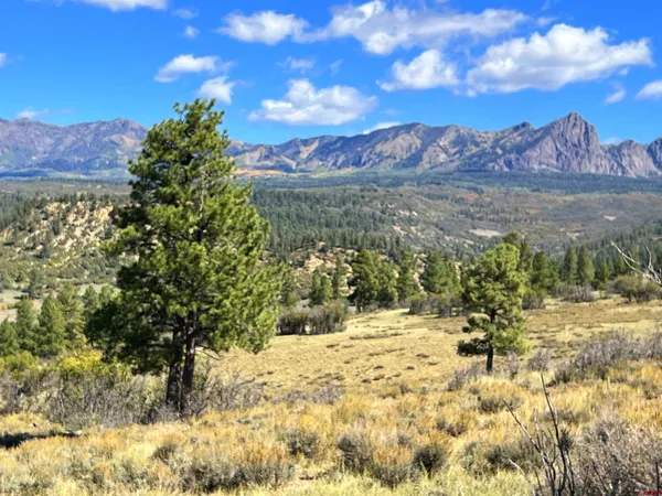 a view of a yard with a lake