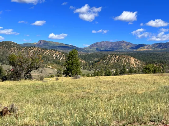 $140,000 | 362 Mary's Court, Chromo, CO 81128