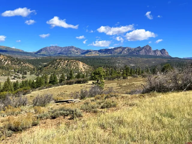 $140,000 | 362 Mary's Court, Chromo, CO 81128