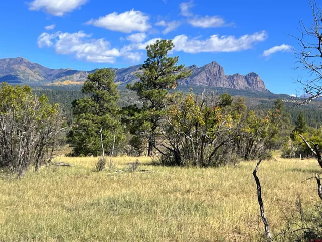 $140,000 | 362 Mary's Court, Chromo, CO 81128