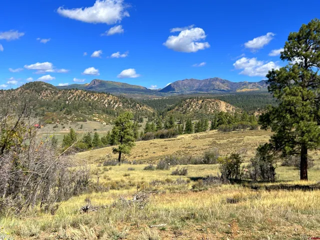 $140,000 | 362 Mary's Court, Chromo, CO 81128