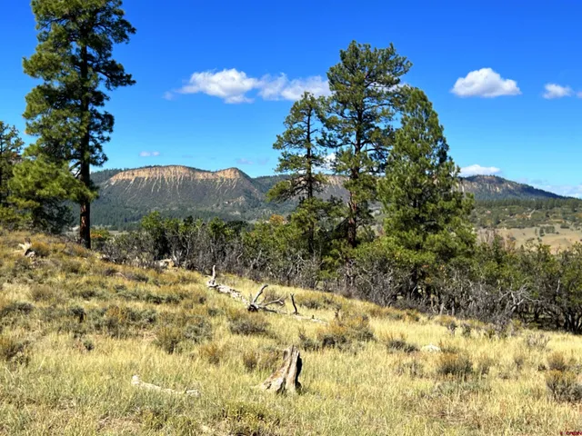 $140,000 | 362 Mary's Court, Chromo, CO 81128