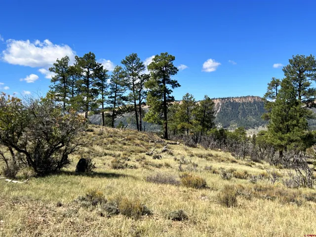 $140,000 | 362 Mary's Court, Chromo, CO 81128