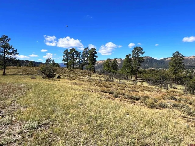$140,000 | 362 Mary's Court, Chromo, CO 81128